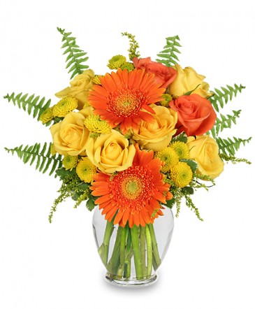 Flores Naranja Amarillas