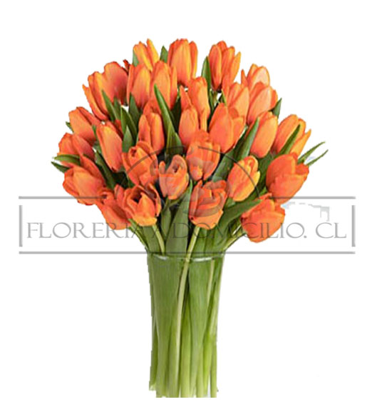 Florero de 60 Tulipanes Primaverales - Desayunosadomicilios.cl