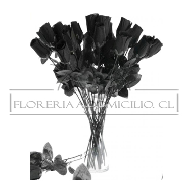 Florero con 12 Rosas Negras