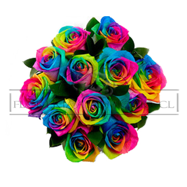 Ramo de 12 Rosas Arcoíris